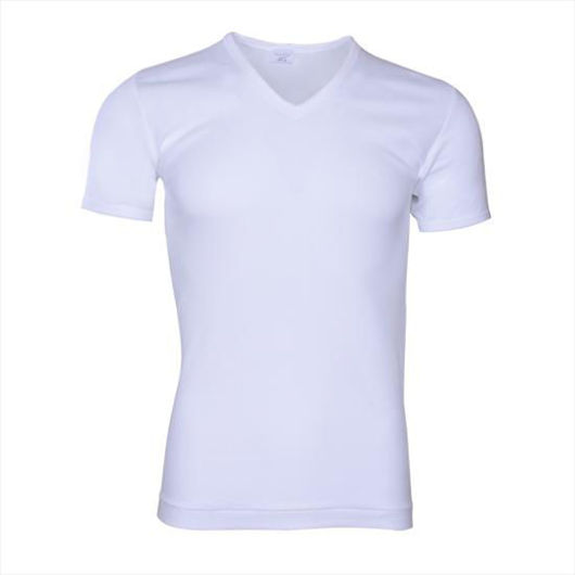 Picture of V Neck T-shirt Richman For Men