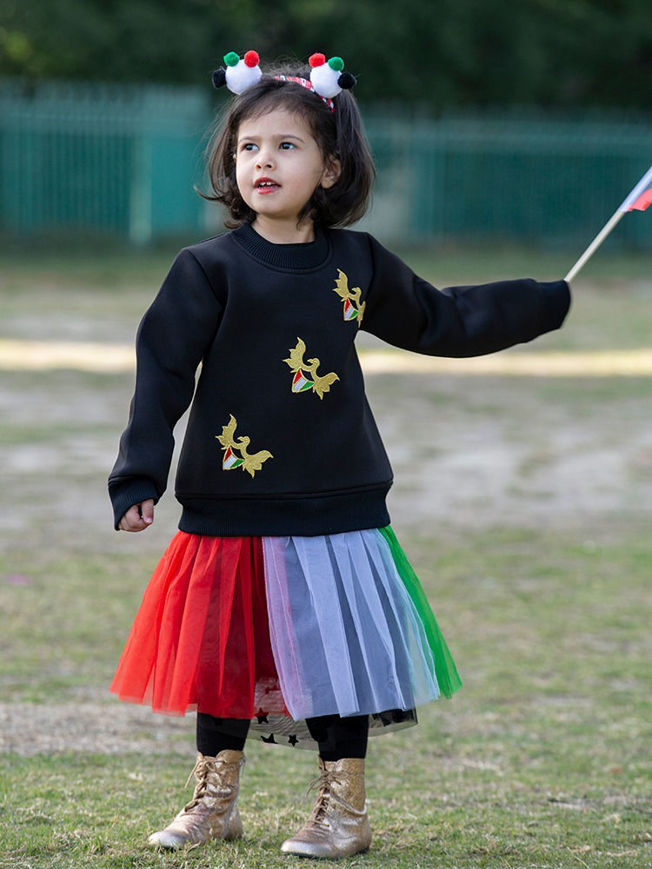 Picture of Dress with flag kuwait colors