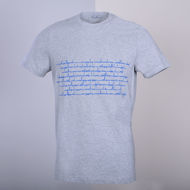 Picture of Grey T-shirt With Blue Anthem